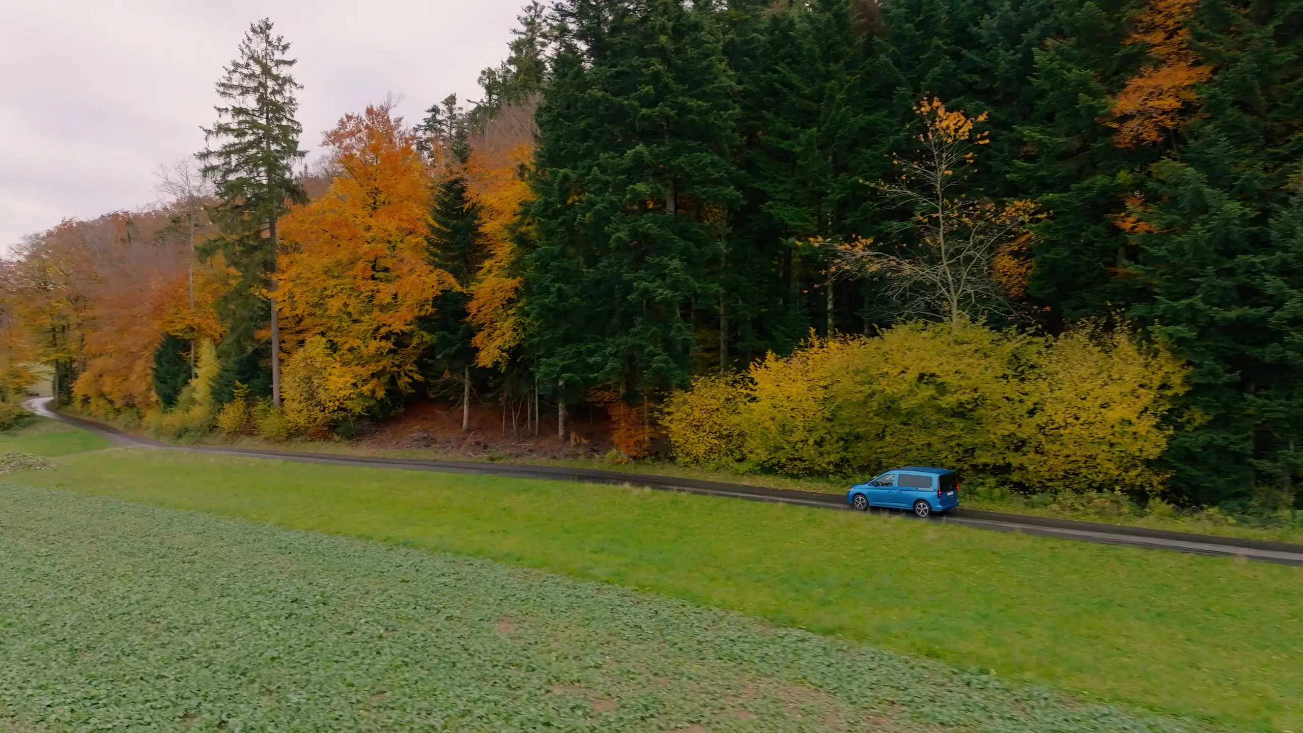 Blauer VW Caddy fährt auf schmaler Landstrasse entlang eines herbstlichen Waldrands.